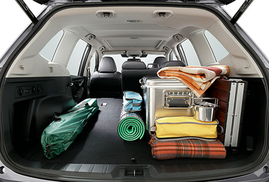 <sg-lang1>Área de cargo</sg-lang1><sg-lang2></sg-lang2><sg-lang3></sg-lang3>